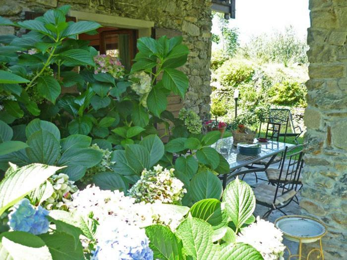 Villa Erica Con Piscina Privata Sul Lago Di Como คอลีโก ภายนอก รูปภาพ