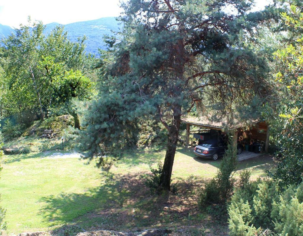 Villa Erica Con Piscina Privata Sul Lago Di Como คอลีโก ภายนอก รูปภาพ